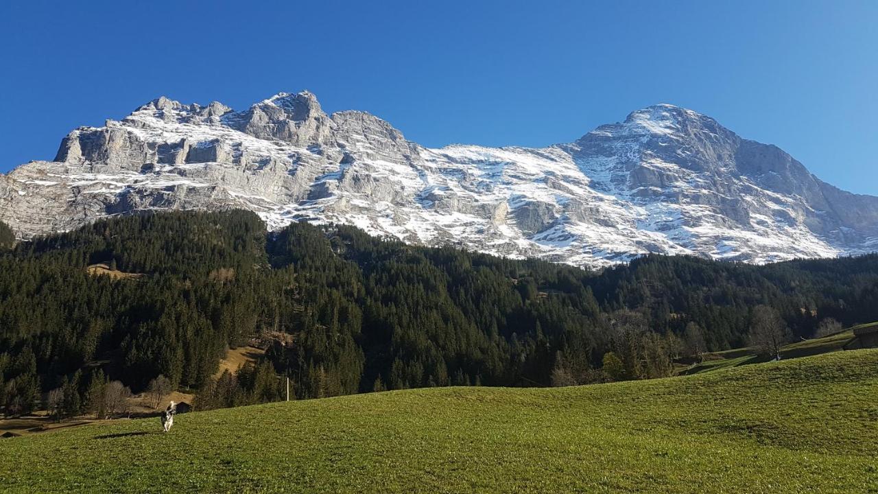 Chalet Bei Der Arve Grindelwald Exterior foto